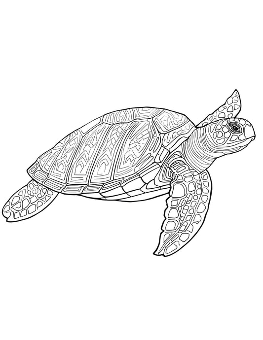 Felnőtteknek részletes állatos színező Frontális