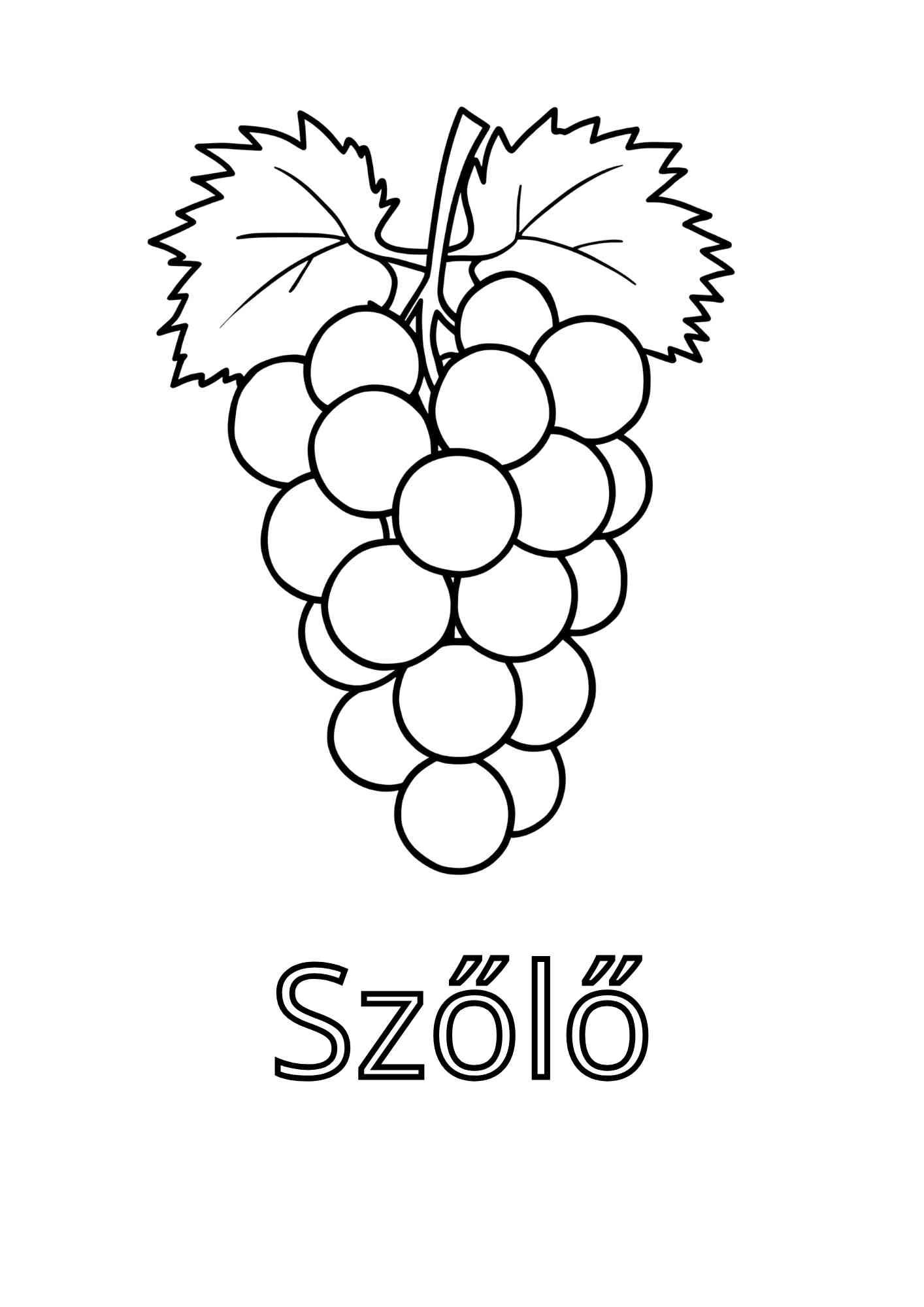 ÁBC színező gyerekeknek Frontális