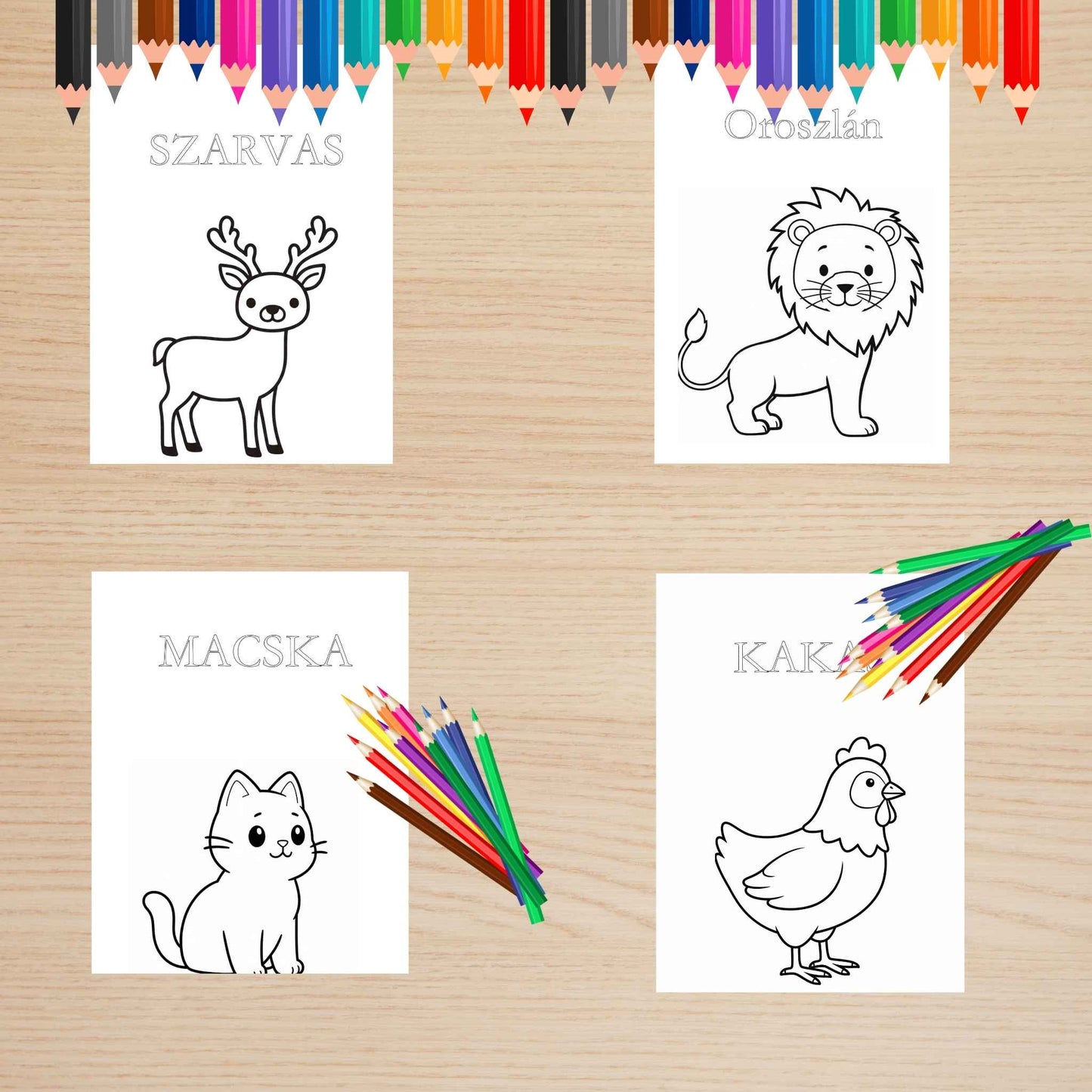 Állatos színező gyerekeknek Frontális