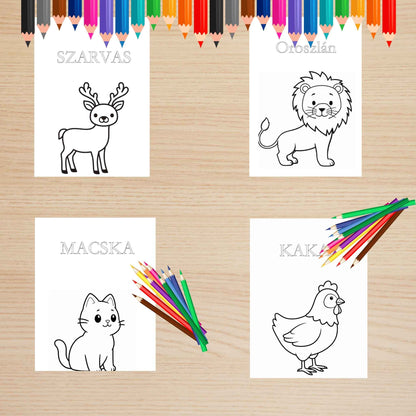 Állatos színező gyerekeknek Frontális
