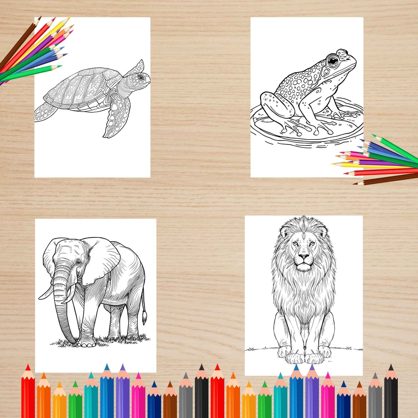 Felnőtteknek részletes állatos színező Frontális