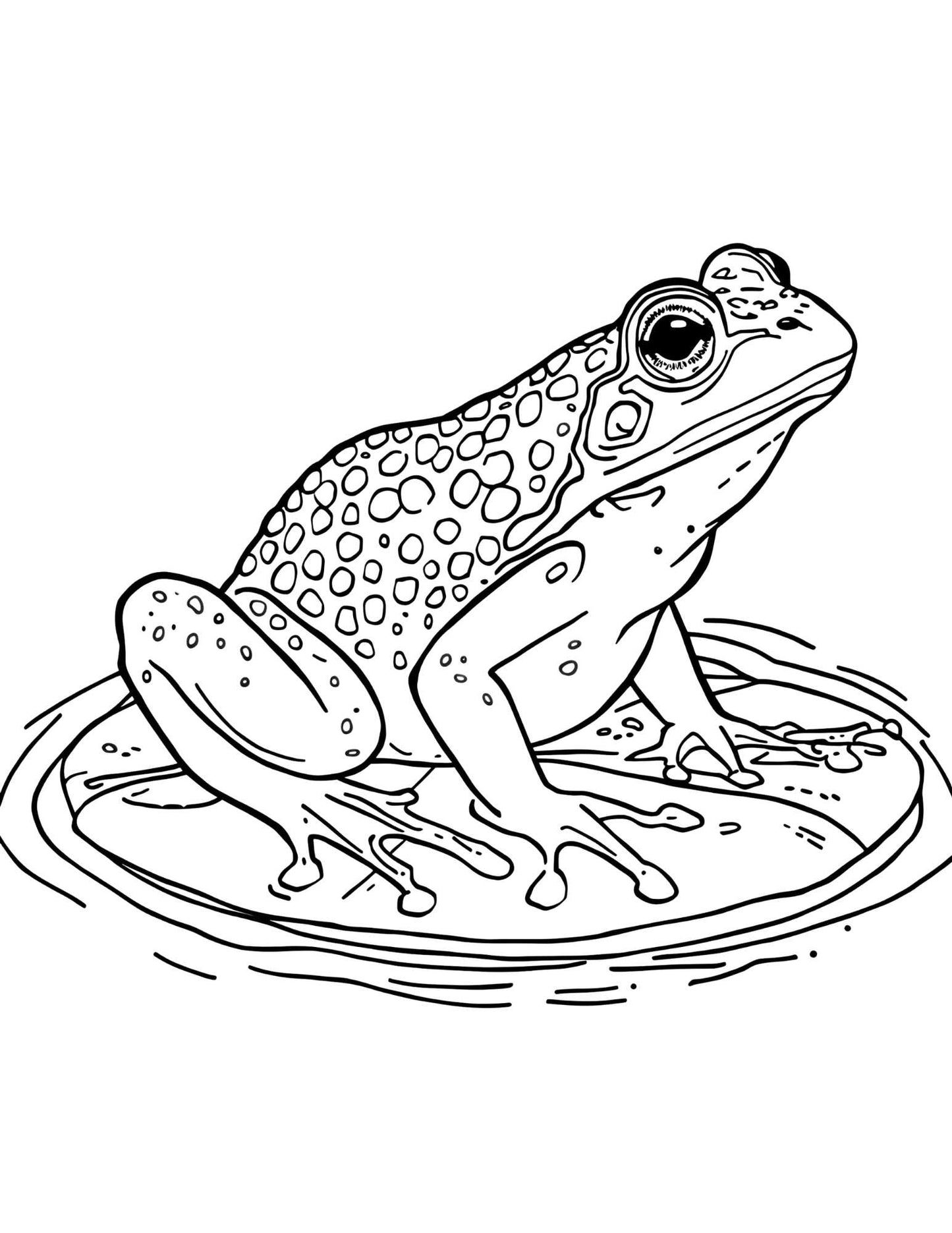 Felnőtteknek részletes állatos színező Frontális