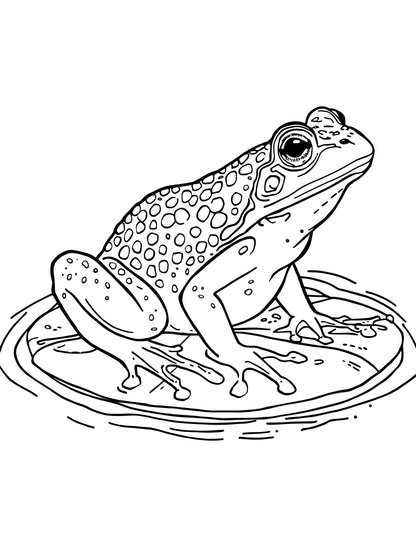 Felnőtteknek részletes állatos színező Frontális