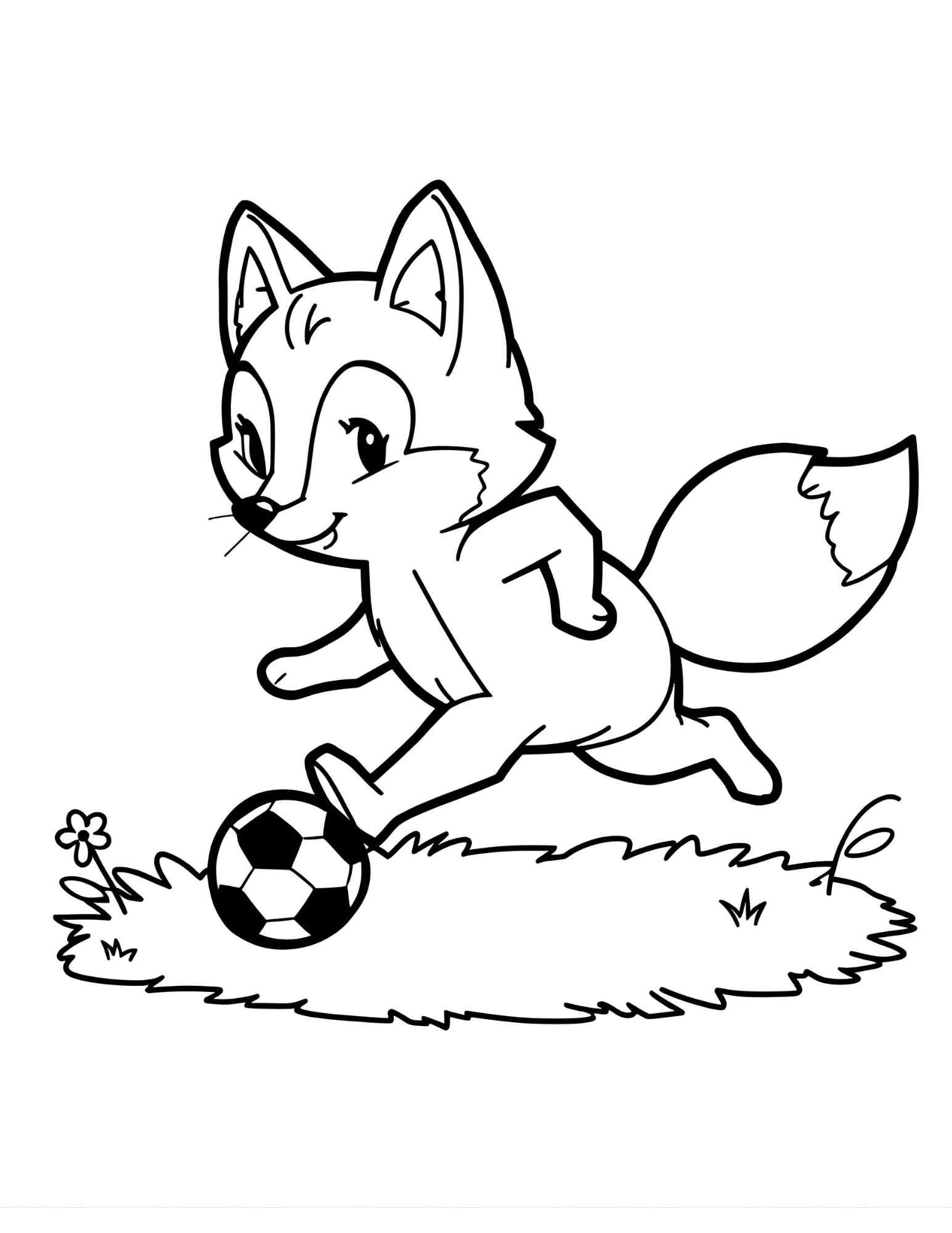 Focis állatok színező gyerekeknek Frontális