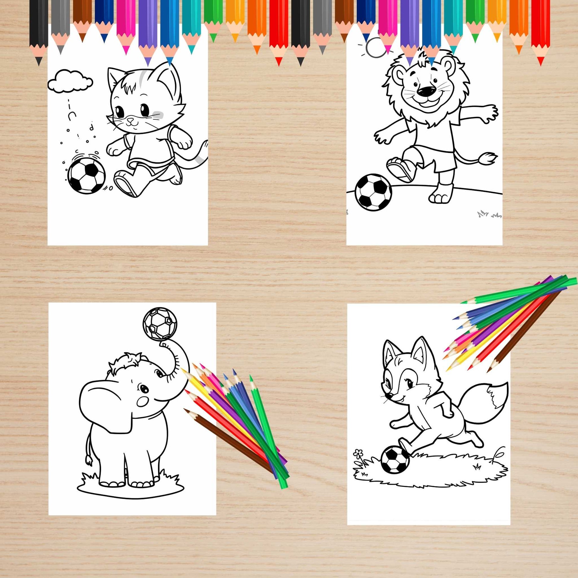 Focis állatok színező gyerekeknek Frontális