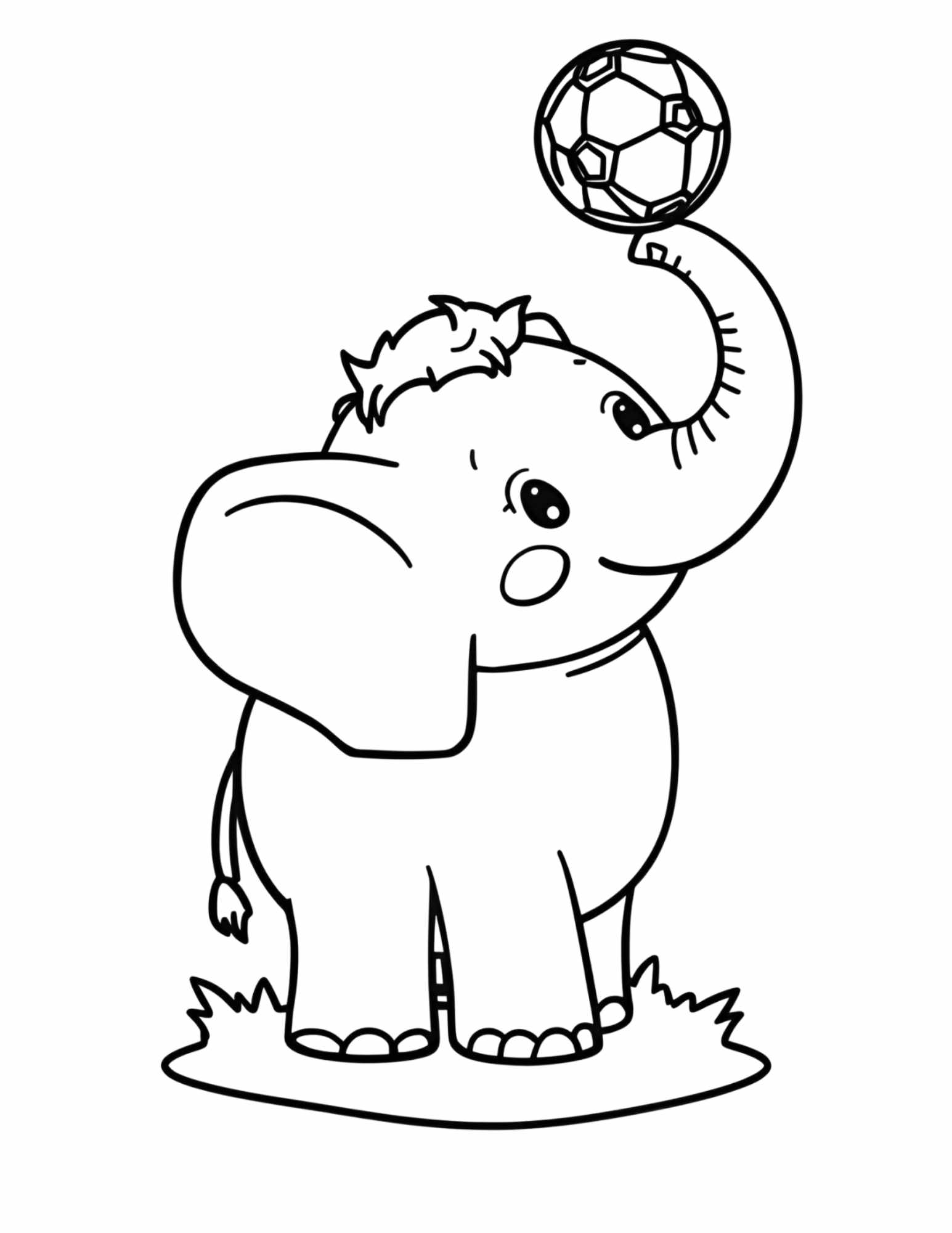 Focis állatok színező gyerekeknek Frontális