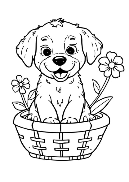 Kutyás színező gyerekeknek Frontális