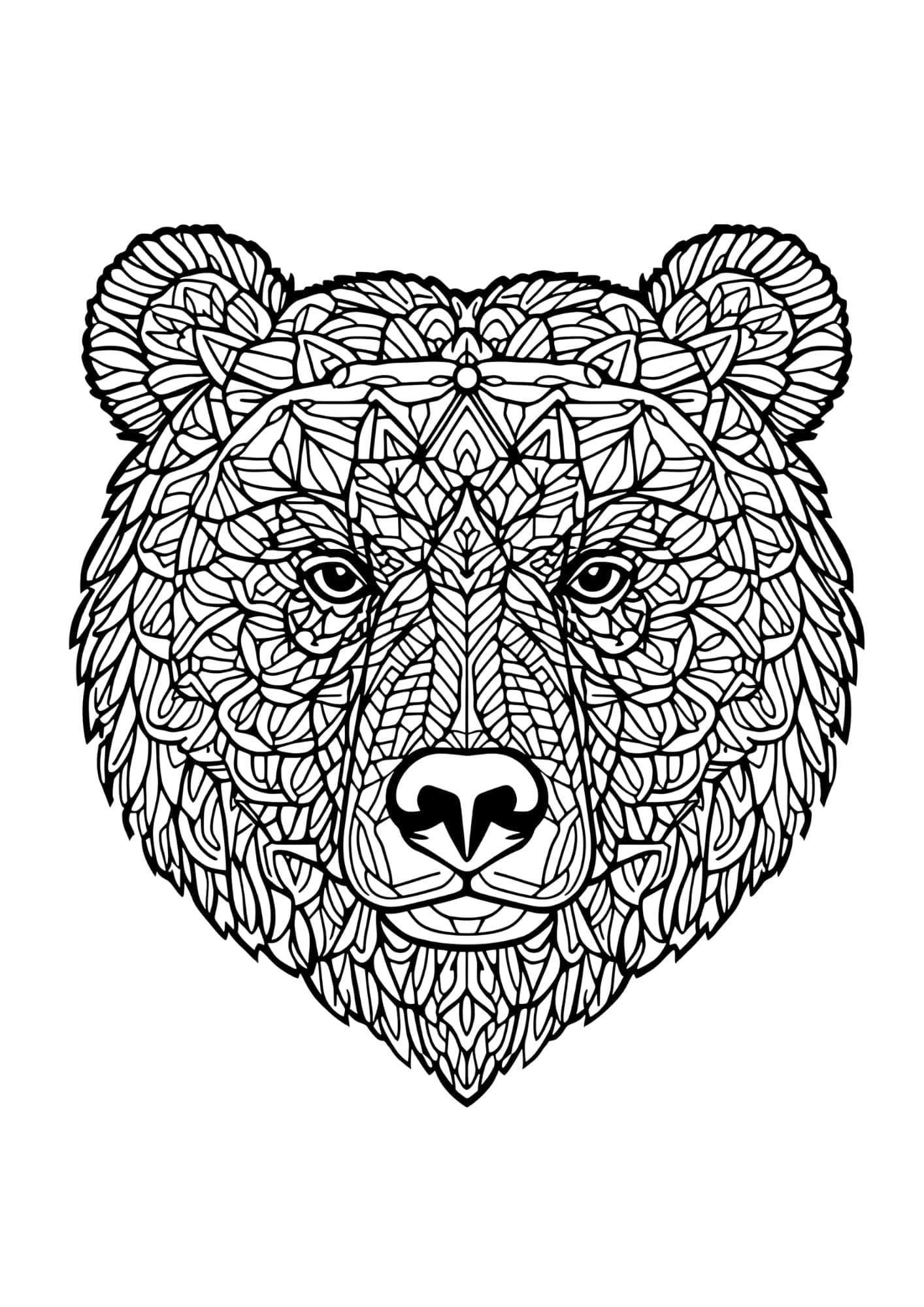 Mandala színező medve Frontális