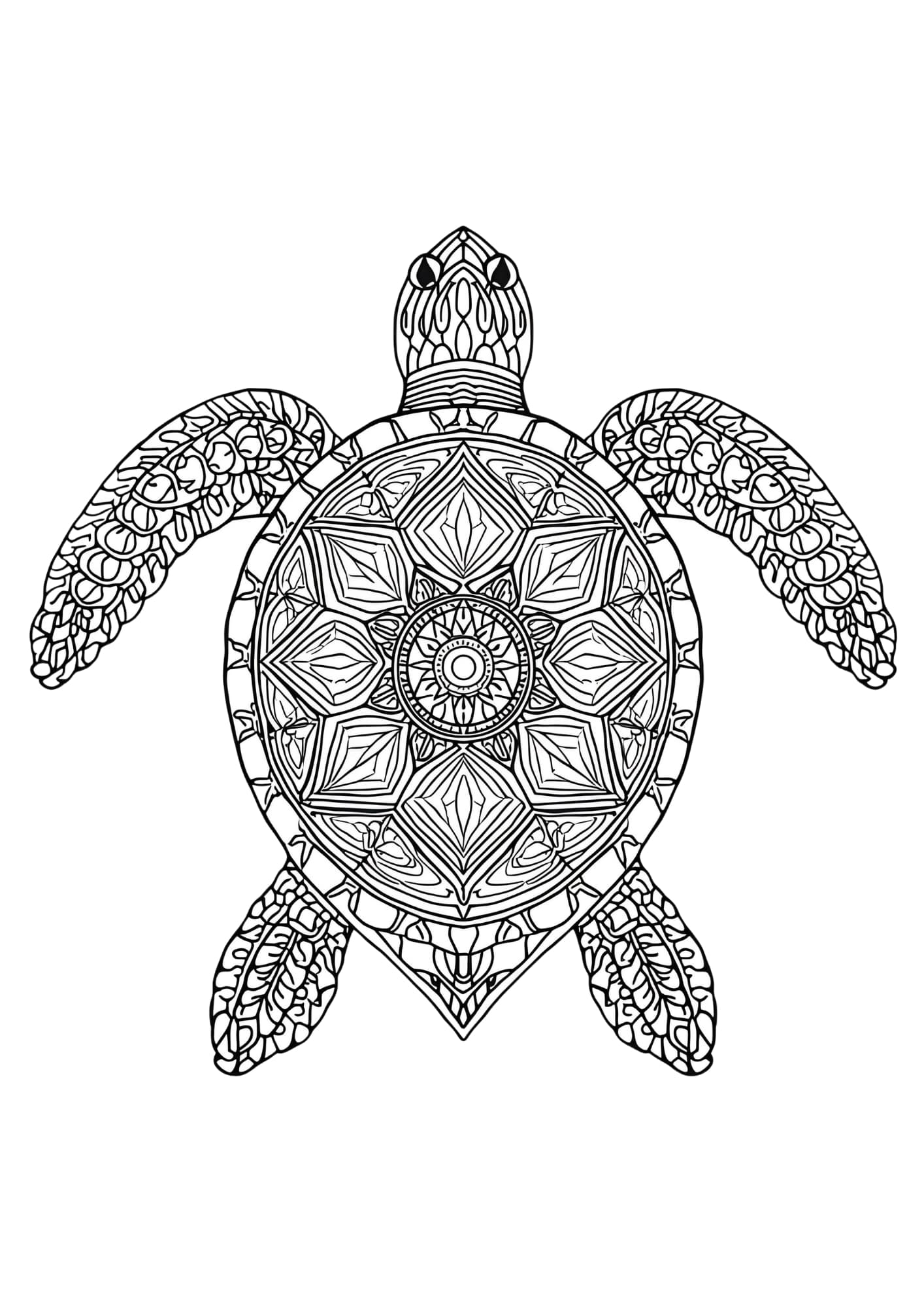 Mandala színező teknős Frontális