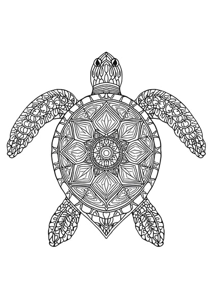 Mandala színező teknős Frontális